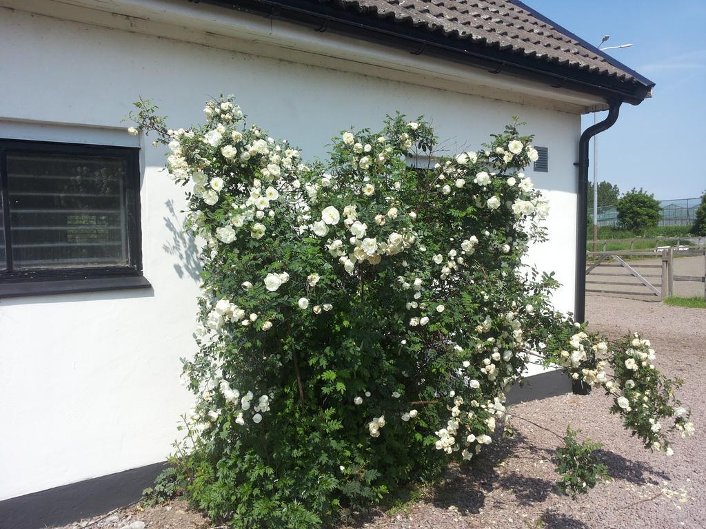 منزل الضيف Vallåkra  في Laegenhet Lillisgarden المظهر الخارجي الصورة